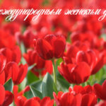 Дорогие наши прихожанки и сотрудницы! Поздравляем вас с международным женским днём!